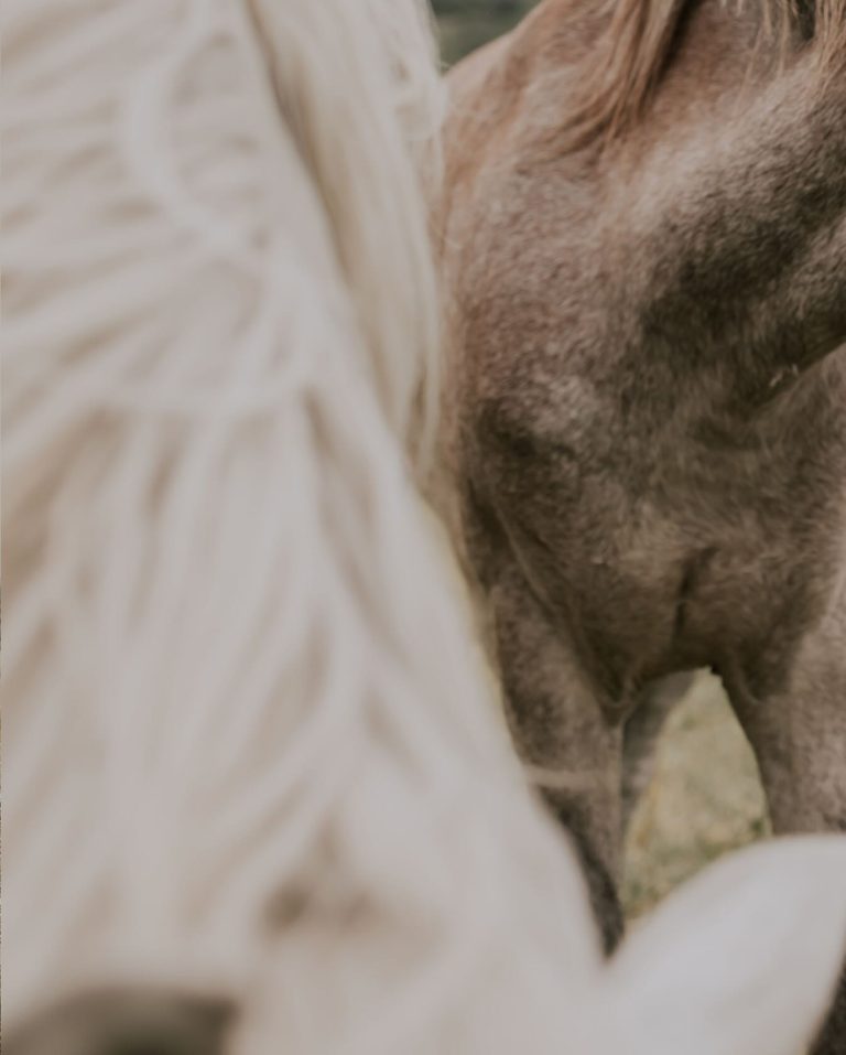 Instagram post from toorawed. This post is in position 17.